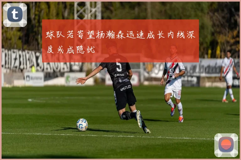 球队若寄望杨瀚森迅速成长内线深度或成隐忧