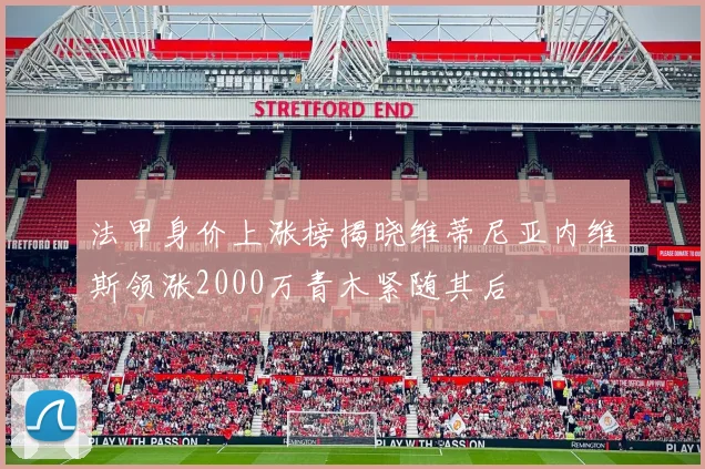 法甲身价上涨榜揭晓维蒂尼亚内维斯领涨2000万青木紧随其后